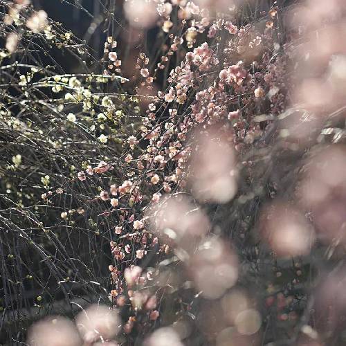 مهدی نوروزی سخته تنها شی ای دل کسی یارت نباشه